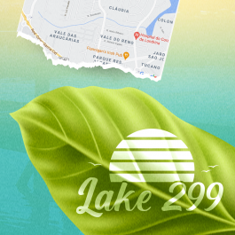 Lake 299